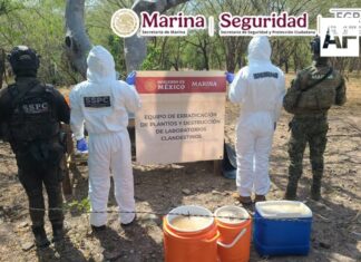 Marina, SSPC y FGR localizan laboratorio clandestino y aseguran 100 kilos de metanfetamina en Sinaloa