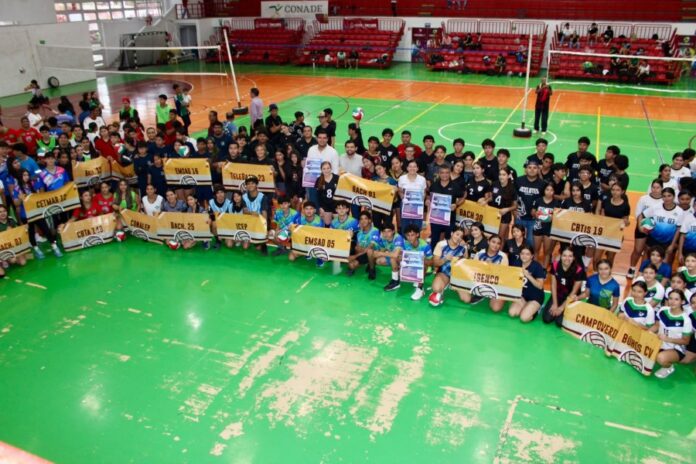 torneovoley1