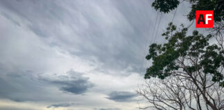 Huracán Trudy provocará lluvias torrenciales en Colima y oleaje de hasta 5 metros
