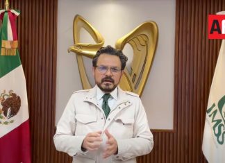 IMSS anuncia auditoría independiente tras muertes de recién nacidos en Guadalajara